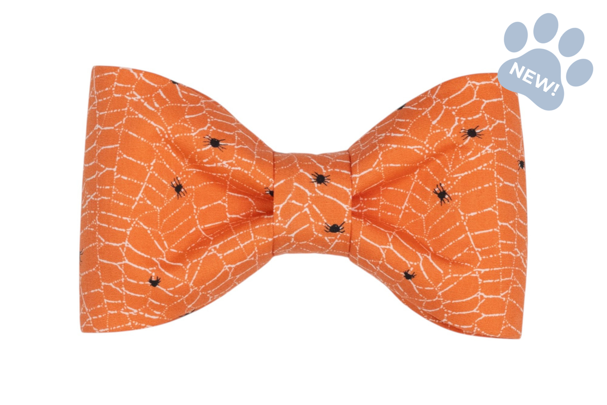 Itsy Bitsy Bow Tie Collar