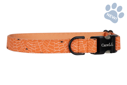 Itsy Bitsy Bow Tie Collar