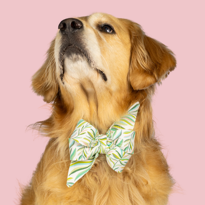 Tropic Time Belle Bow