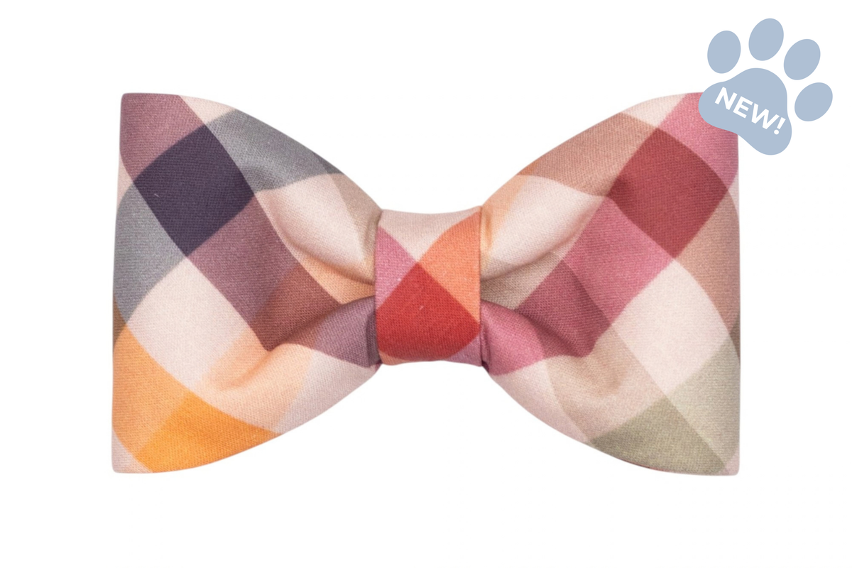 Orchard Plaid Bow Tie Collar