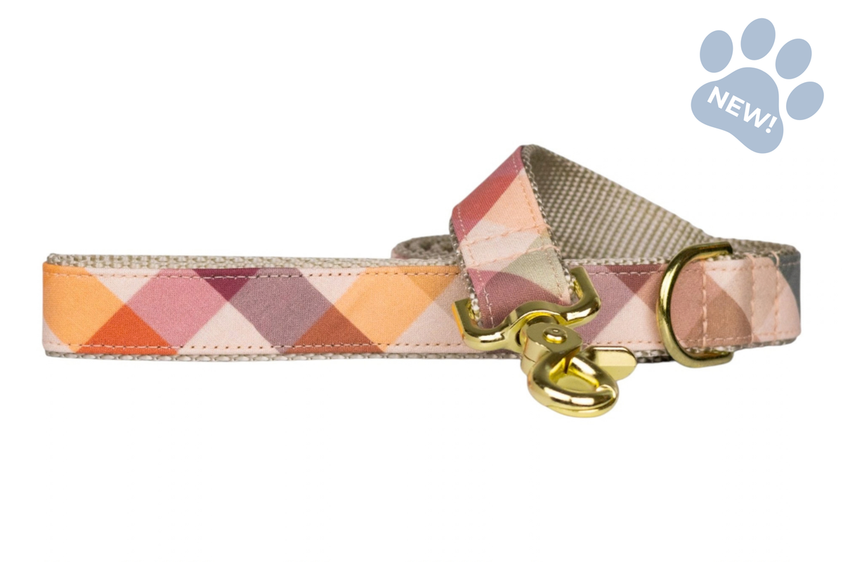 Orchard Plaid Dog Leash