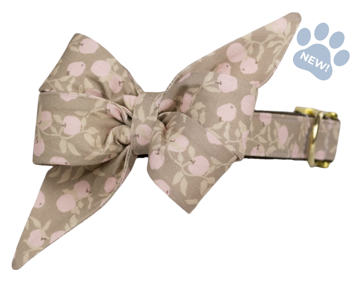Pink Lady Belle Bow Collar