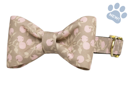 Pink Lady Bow Tie Collar