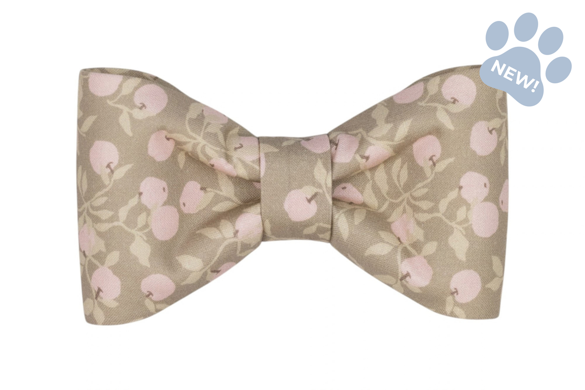 Pink Lady Bow Tie Collar