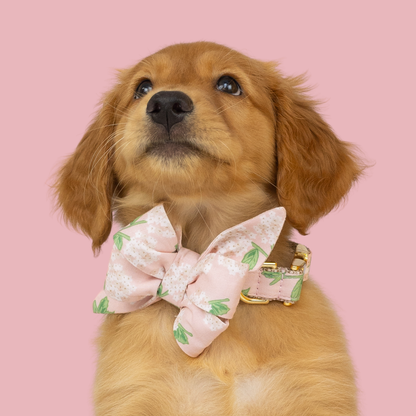 Pink Hydrangeas Belle Bow Collar