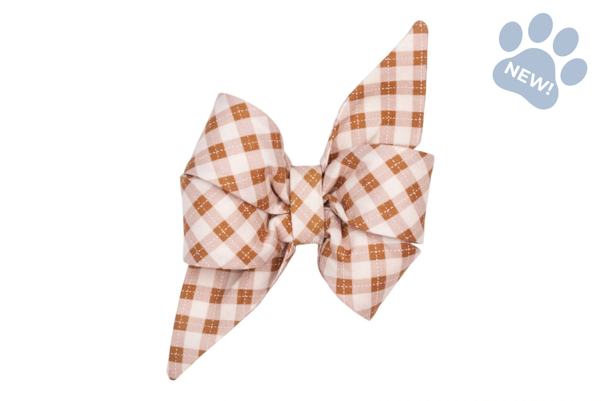 Prosecco Plaid Belle Bow Collar