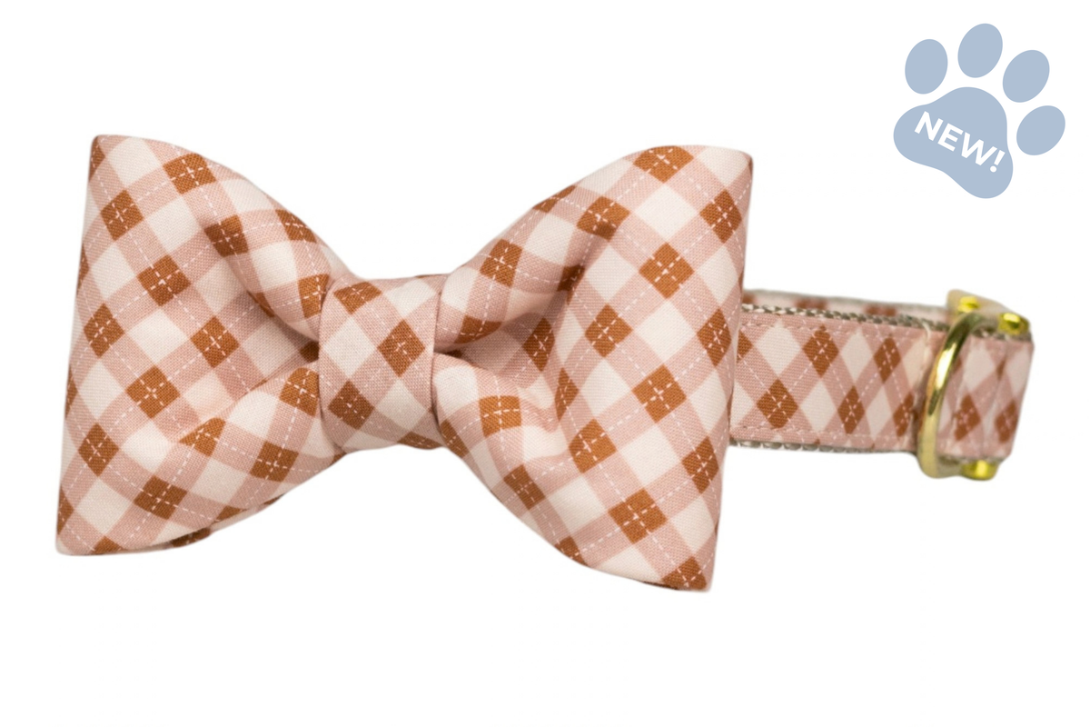 Prosecco Plaid Bow Tie Collar