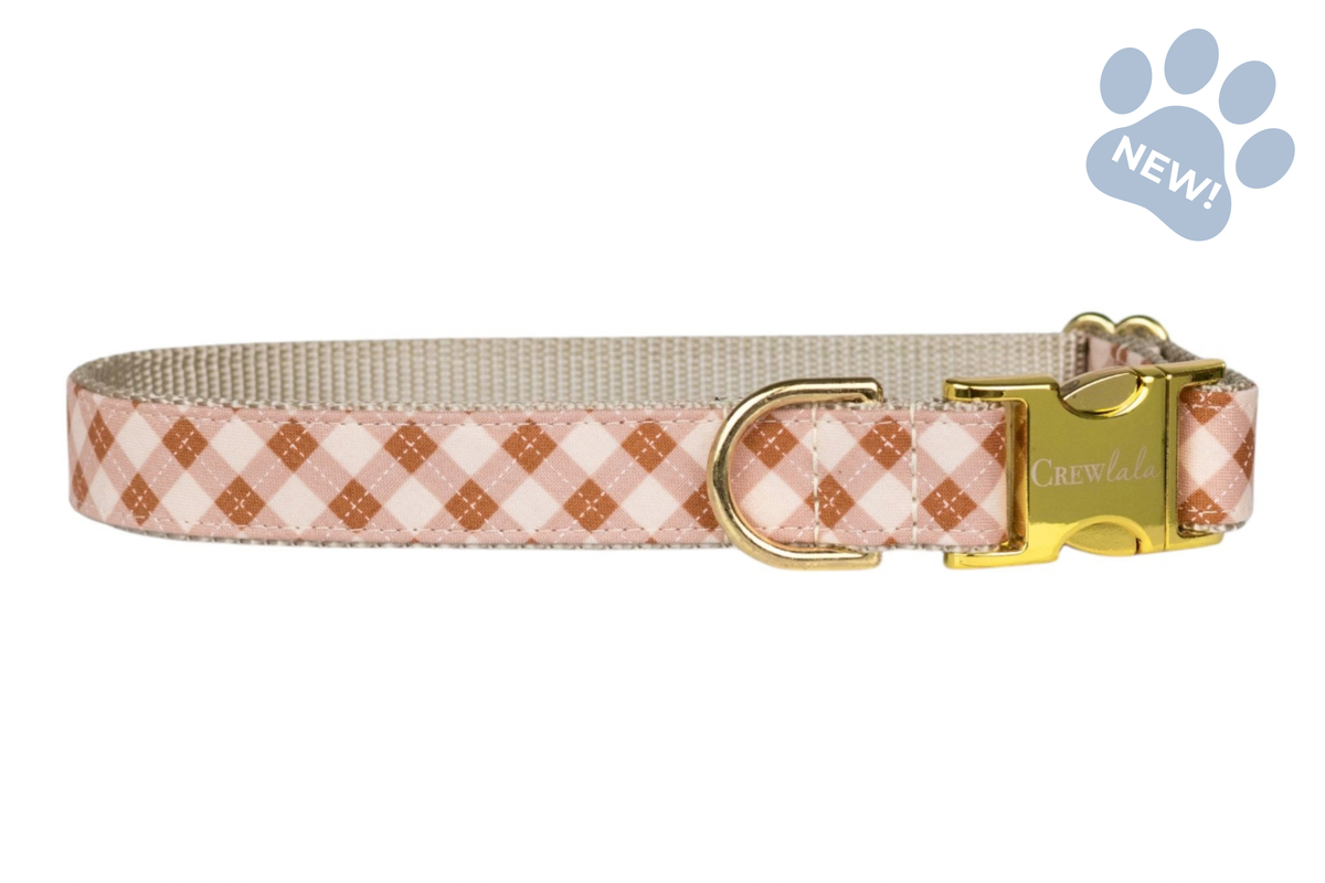 Prosecco Plaid Belle Bow Collar