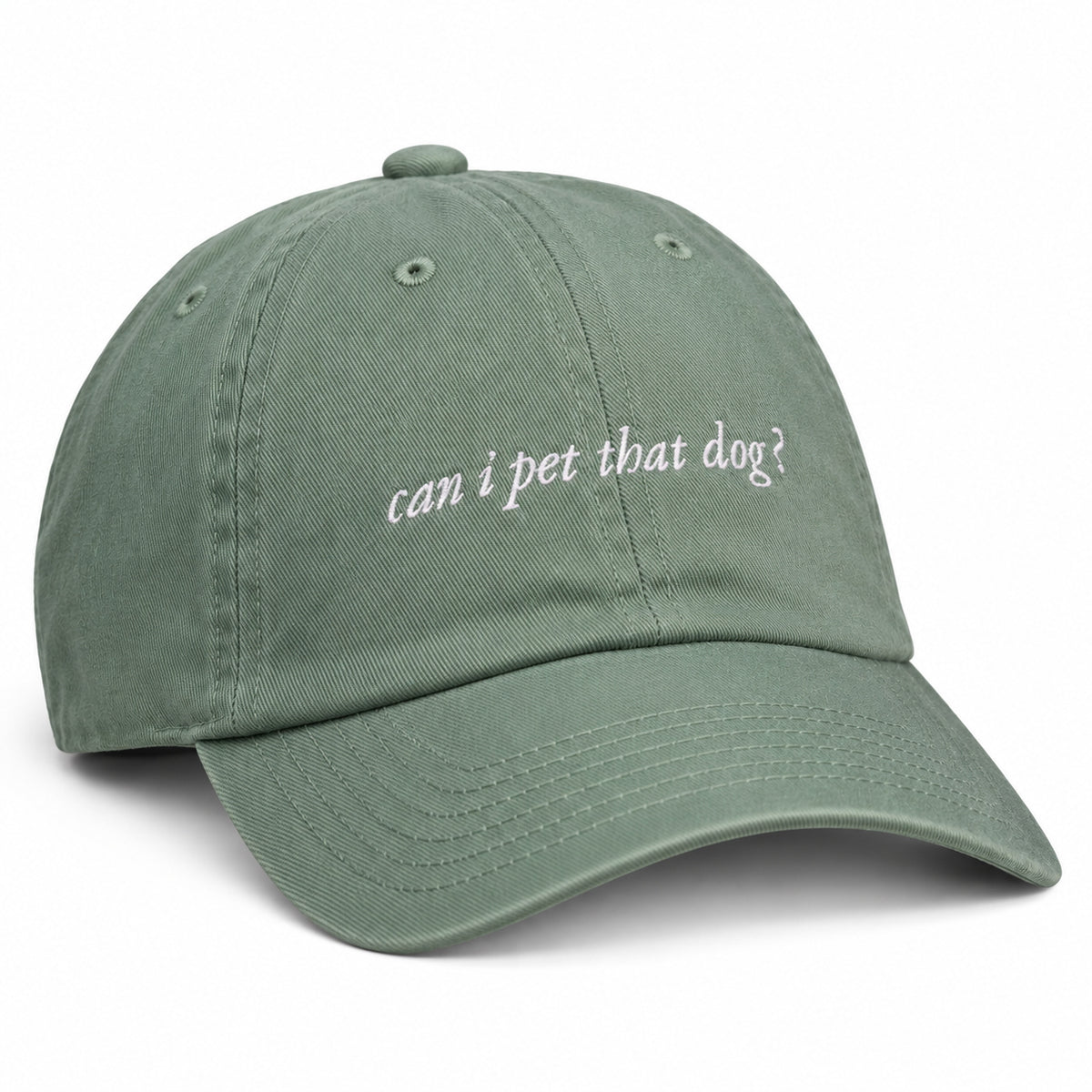 KIDS can i pet that dog? Baseball Hat – green – front view