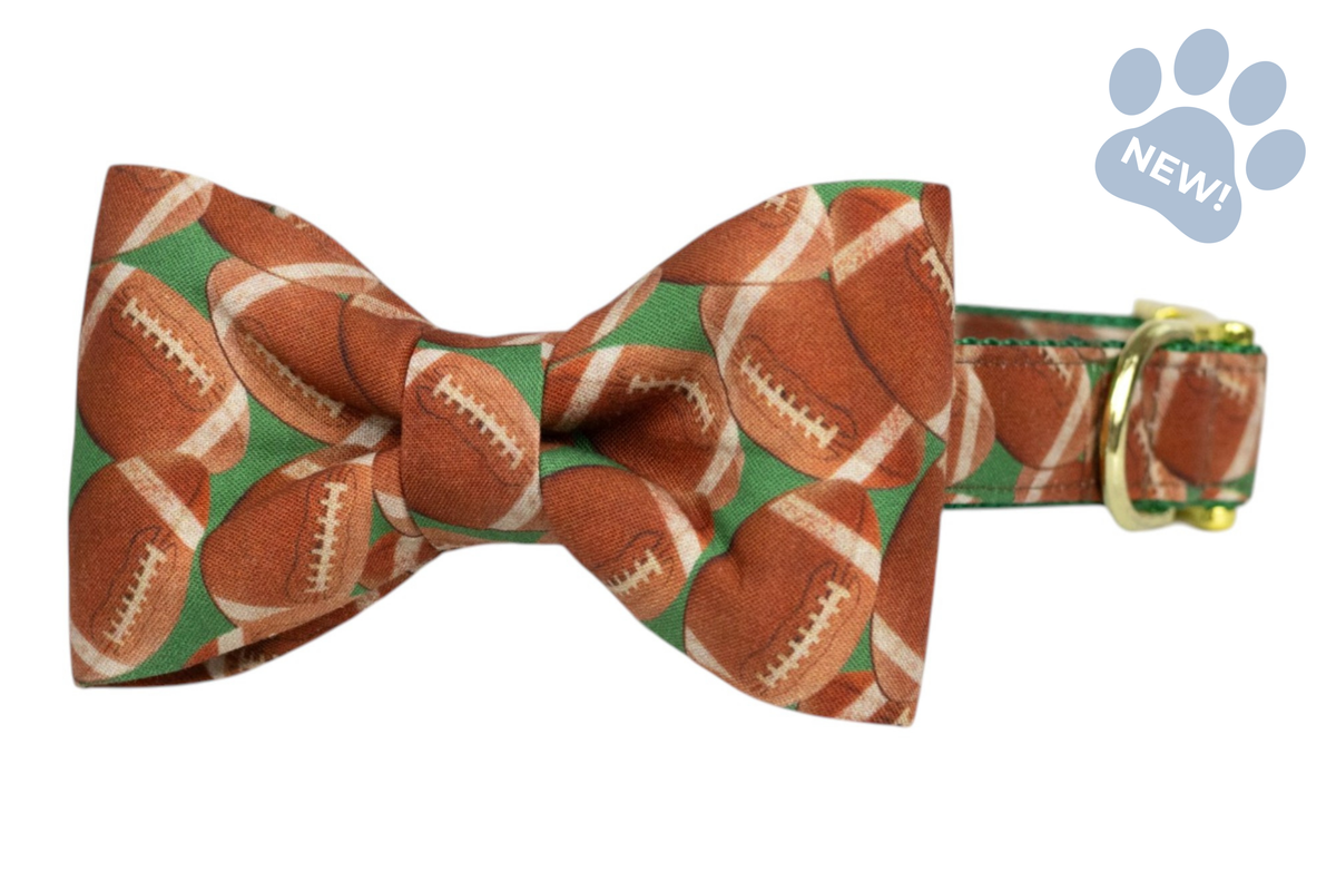 Touchdown Bow Tie Collar