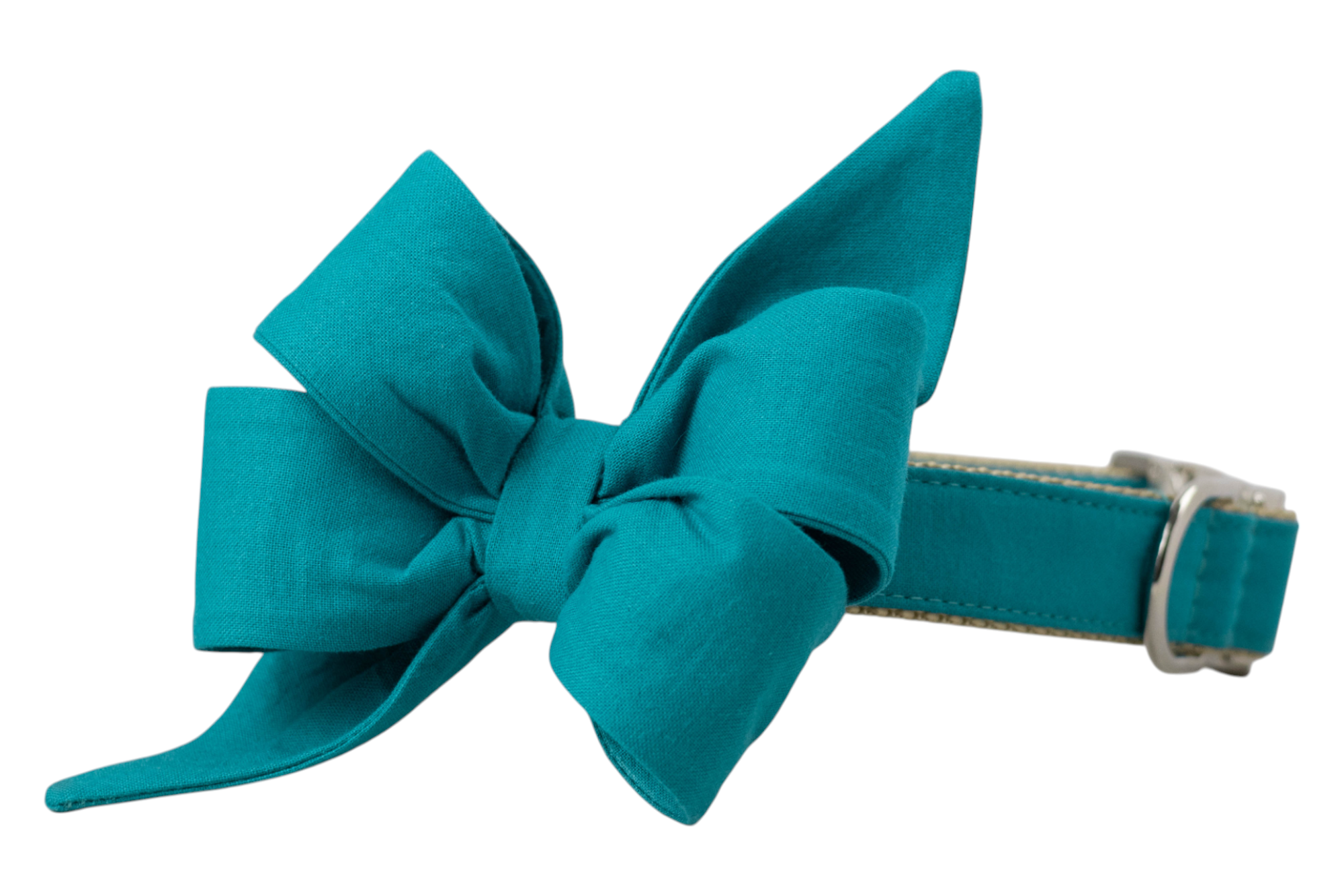 Caribbean Belle Bow Dog Collar - Crew LaLa