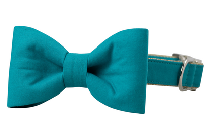 Caribbean Bow Tie Dog Collar - Crew LaLa