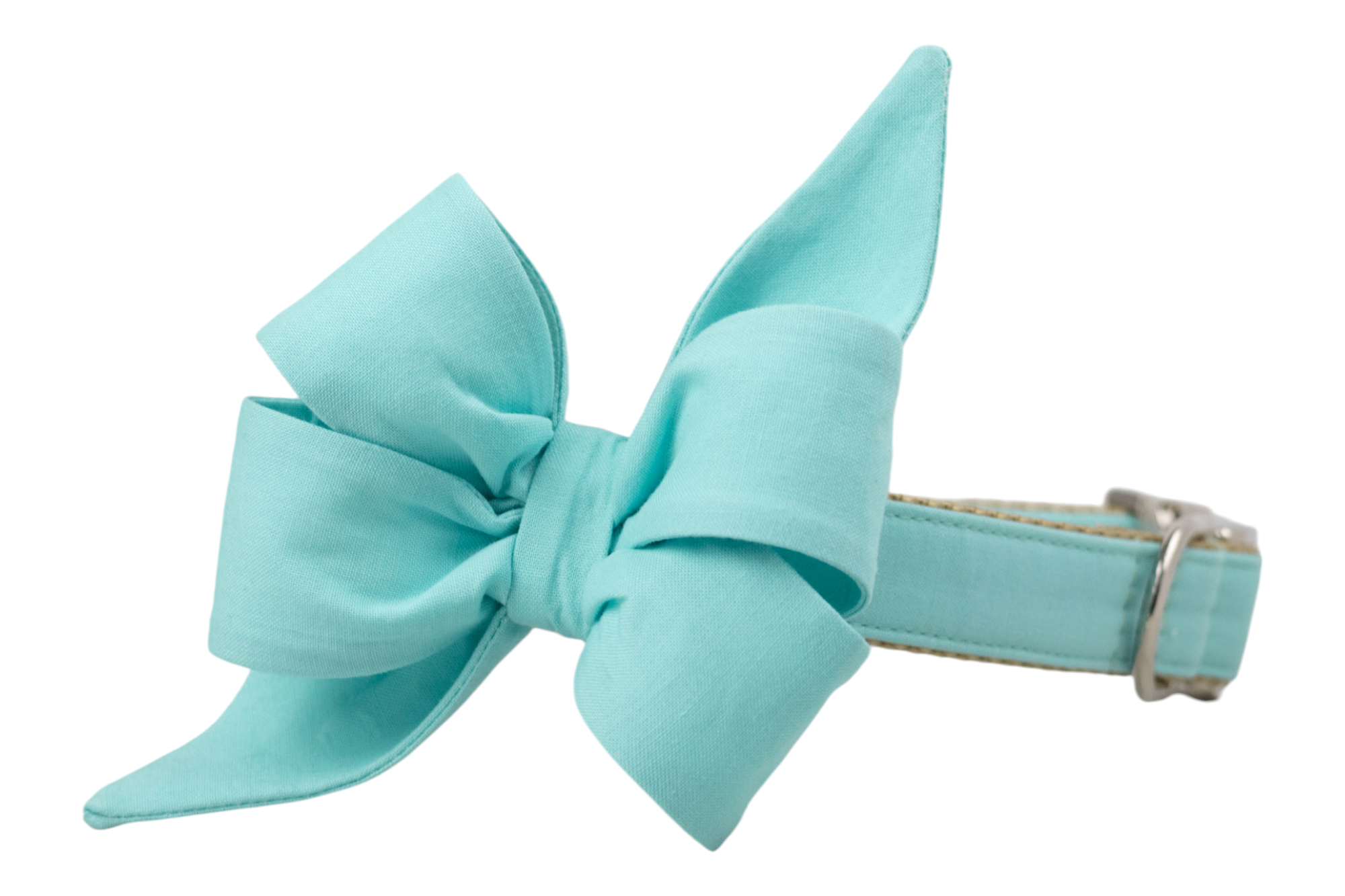 Bahama Blue Belle Bow Dog Collar - Crew LaLa