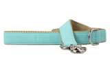 Bahama Blue Dog Leash