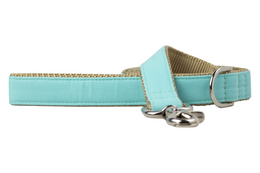 Bahama Blue Dog Leash