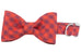 Apple Spice Plaid Bow Tie Dog Collar