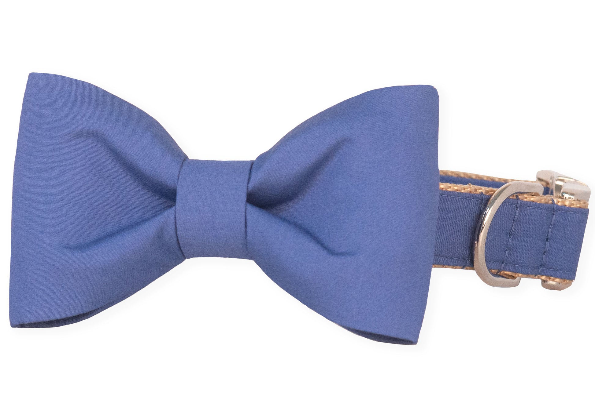 Berry Blue Bow Tie Dog Collar - Crew LaLa