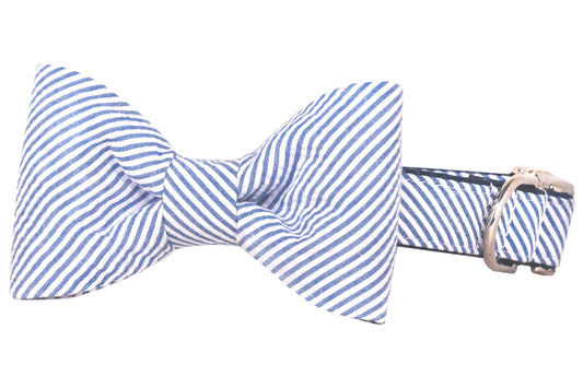 Blue Seersucker Bow Tie Dog Collar - Crew LaLa