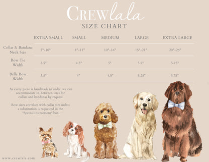 Purple Webbing Collar - Crew LaLa