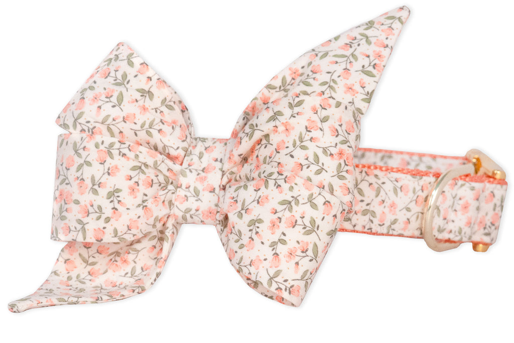 Canterbury Belle Bow Dog Collar