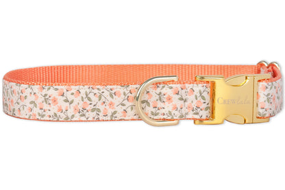 Canterbury Belle Bow Dog Collar - Crew LaLa
