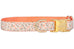 Canterbury Belle Bow Dog Collar