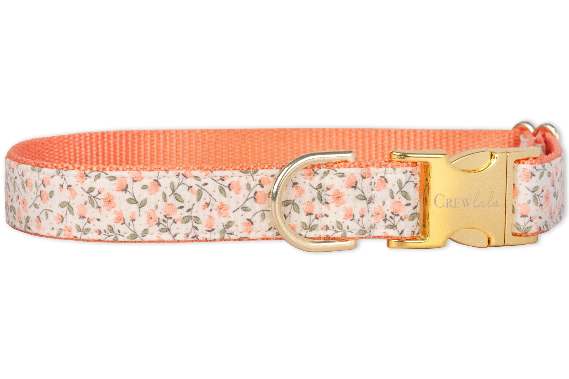 Canterbury Dog Collar - Crew LaLa