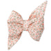 Canterbury Belle Bow Dog Collar
