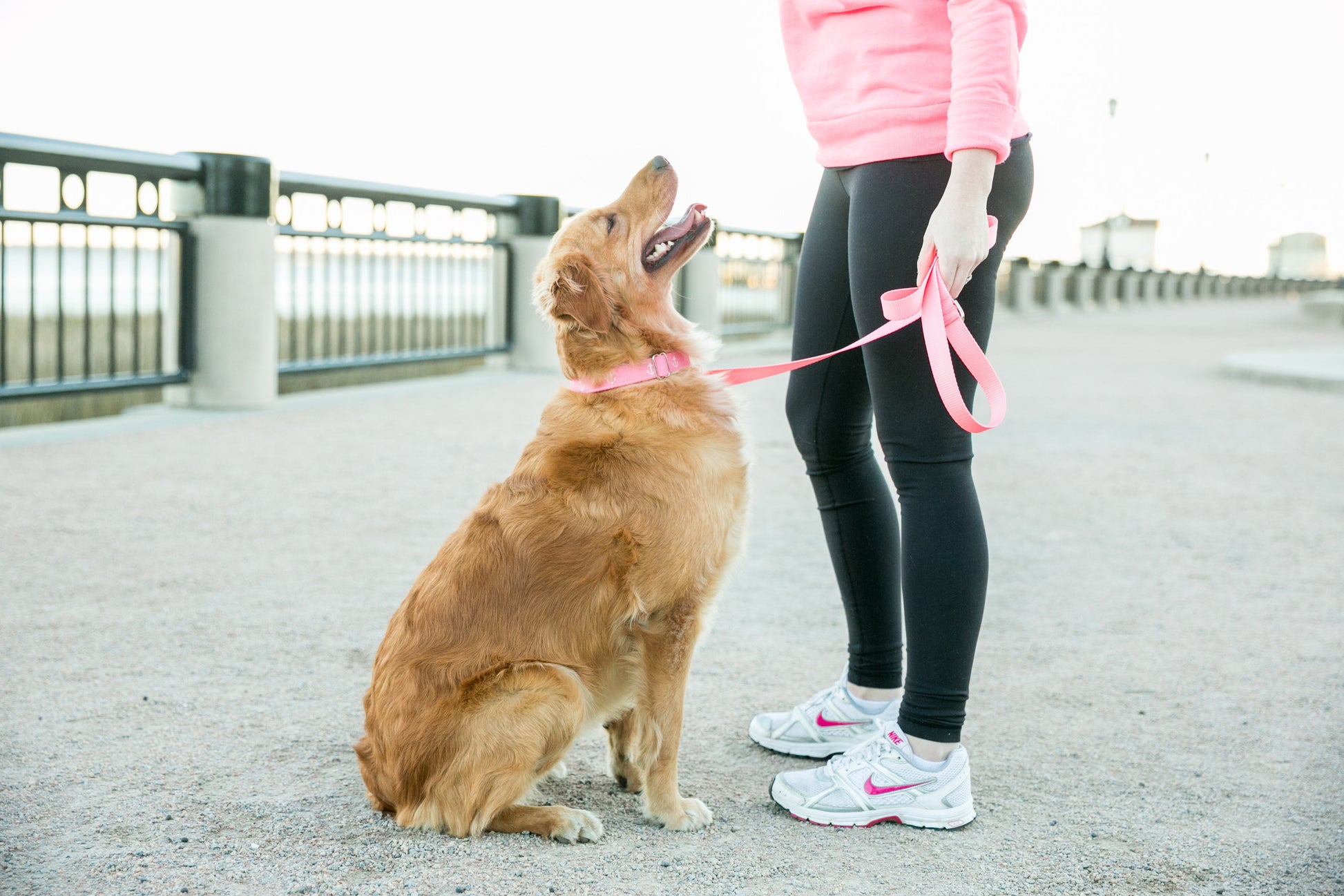 Pretty Pink Naked Webbing Leash - Crew LaLa