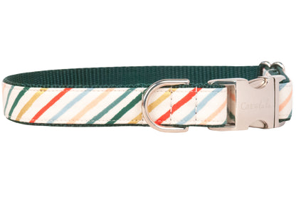 A festive dog collar with diagonal holiday stripes in red, green, gold, blush, and light blue on a cream background. The collar is finished with a dark green backing and shiny gold hardware.