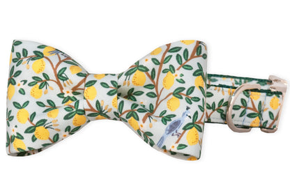 Dog bow tie and matching collar set featuring a cheerful lemon orchard print on a soft pastel background. The fabric is decorated with clusters of bright yellow lemons, leafy green branches, and small white flowers. Subtle blue-gray birds perch on the twigs throughout the design. The collar includes a silver metal D-ring for leash attachment and coordinates seamlessly with the bow tie.