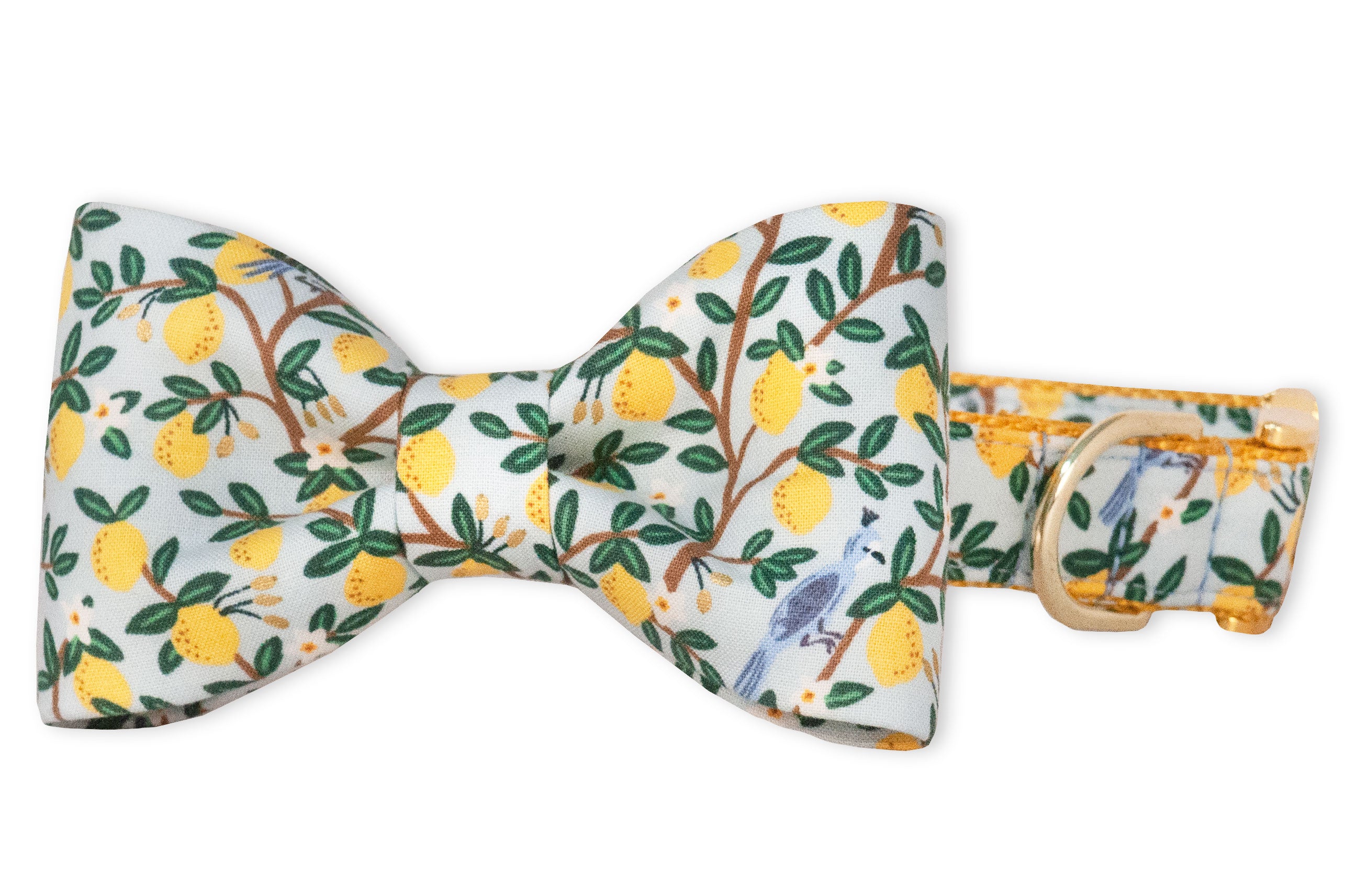 Dog bow tie and collar set featuring a cheerful lemon orchard print on a soft pastel background. The fabric is decorated with clusters of bright yellow lemons, leafy green branches, and small white flowers. Subtle blue-gray birds perch on the twigs throughout the design. The collar includes a silver metal D-ring for leash attachment and coordinates seamlessly with the bow tie.