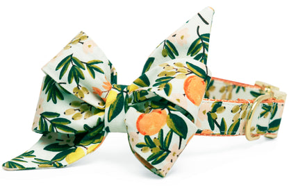 Make every walk a fashion moment with this belle bow dog collar, showcasing a matching and dramatic, hand-tied belle bow in a vibrant citrus and floral print—finished with luxe accents for a bold, sunny look.