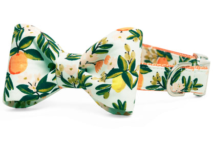 This playful dog collar with attached matching bow tie bursts with fruity flair, showcasing citrus fruits and florals in cheerful colors—perfect for pups who love to dress to impress.