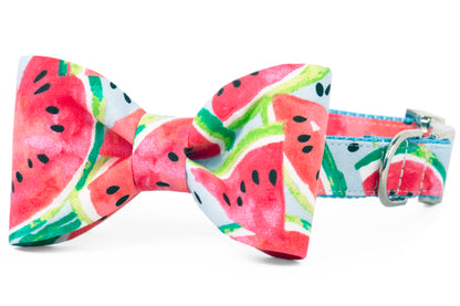 A dog collar with an attached matching fabric bow tie, both featuring a vibrant watermelon slice print in shades of red, green, white, and black on a light blue background. The collar includes silver metal hardware, such as a D-ring and buckle.
