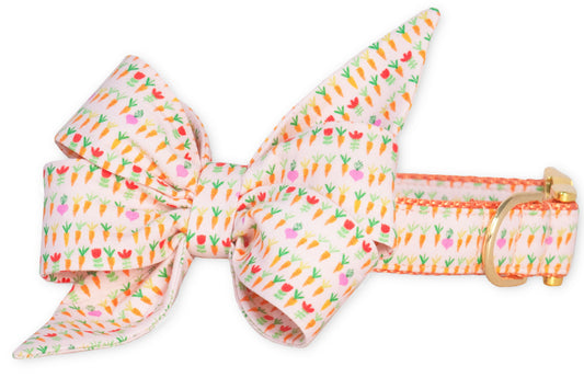 Cute Roots Belle Bow Dog Collar - Crew LaLa