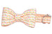 Cute Roots Bow Tie Dog Collar
