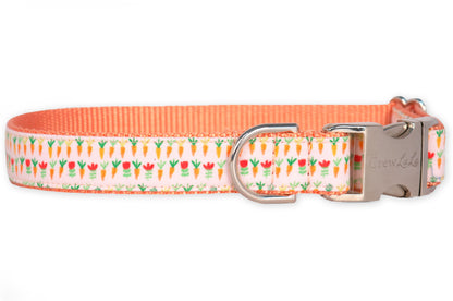 Cute Roots Dog Collar - Crew LaLa