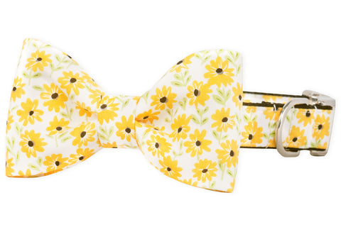 Drew's Daisies Bow Tie Dog Collar