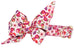 Flower Market Floral Belle Bow Dog Collar