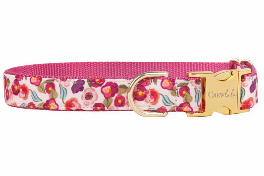 Flower Market Floral Dog Collar - Crew LaLa