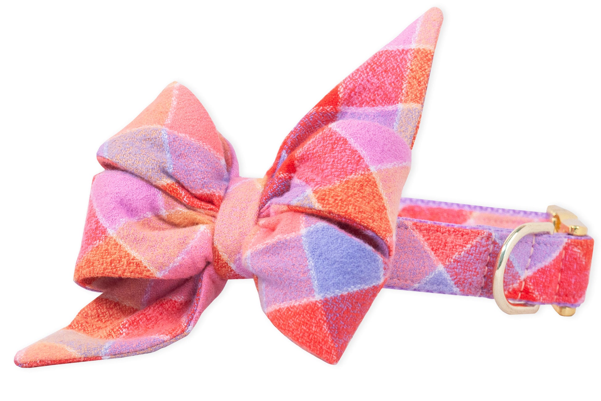 Fruit Punch Flannel Belle Bow Dog Collar - Crew LaLa
