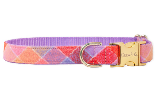 Fruit Punch Flannel Dog Collar - Crew LaLa