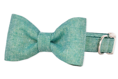 Green Glitter Bow Tie Dog Collar