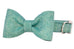 Green Glitter Bow Tie Dog Collar