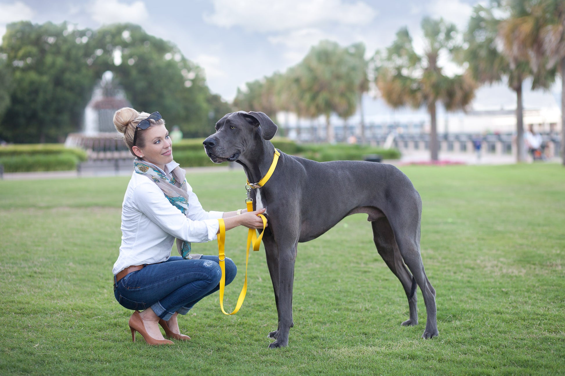 Mustard Yellow Naked Webbing Collar - Crew LaLa