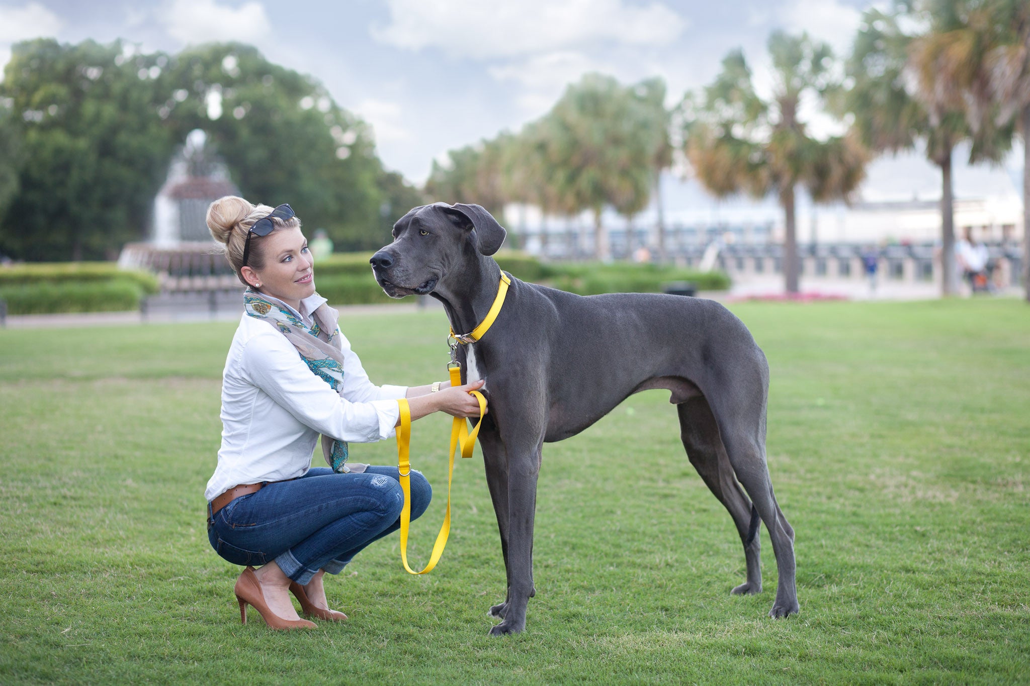 Mustard Yellow Naked Webbing Collar - Crew LaLa