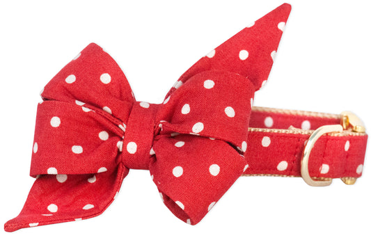 Ivory Dot on Ruby Red Belle Bow Dog Collar - Crew LaLa