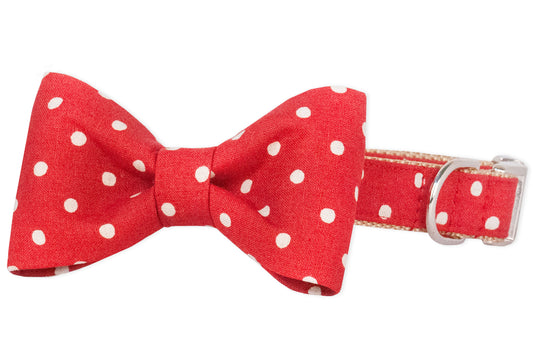 Ivory Dot on Ruby Red Bow Tie Dog Collar - Crew LaLa