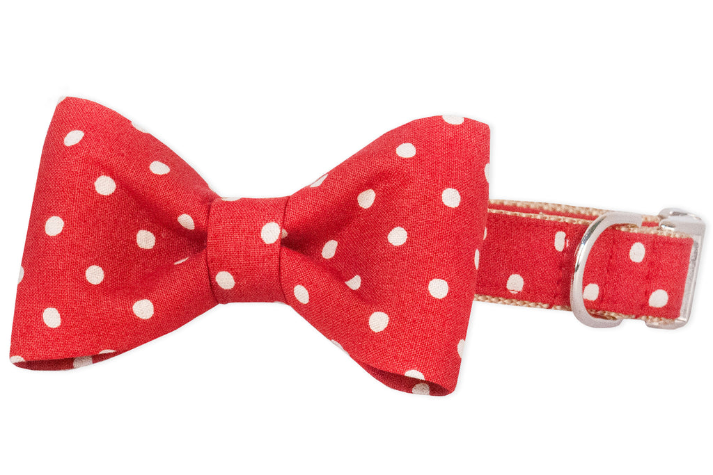Ivory Dot on Ruby Red Bow Tie Dog Collar